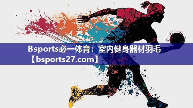 Bsports必一体育：室内健身器材羽毛