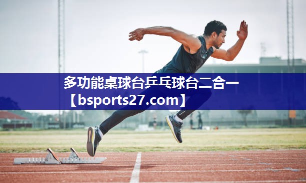 多功能桌球台乒乓球台二合一 多功能桌球台乒乓球台二合一